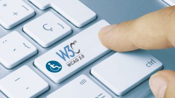 WCAG 2.0 standard